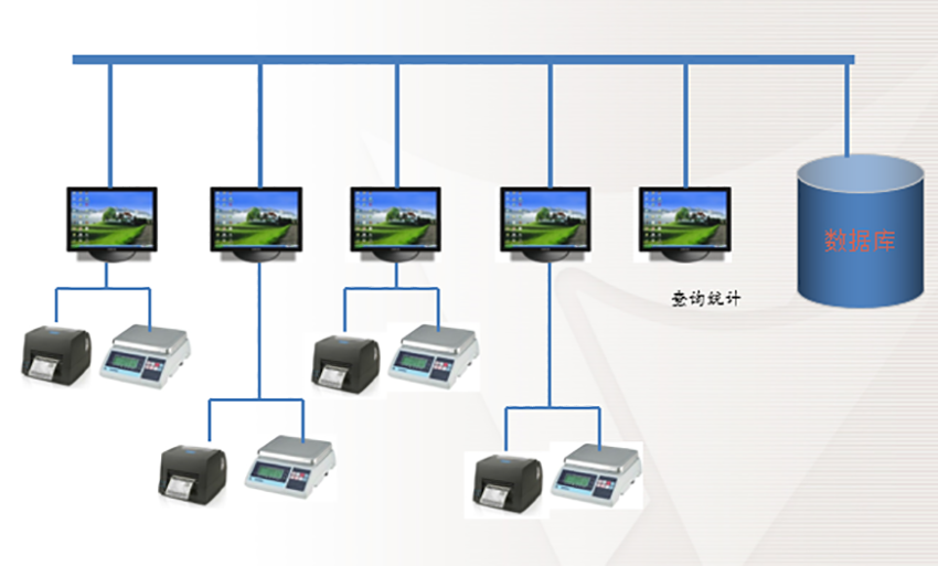 稱重標(biāo)簽打印軟件